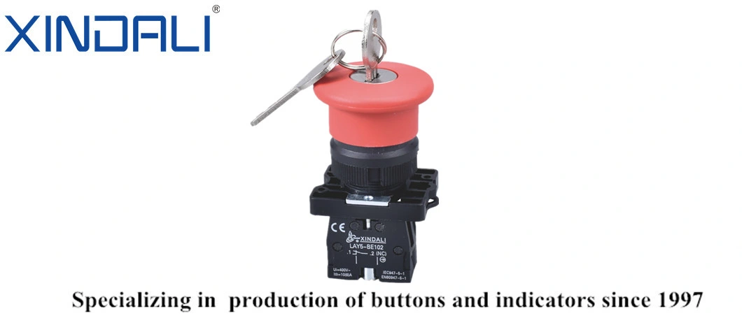 Lay5-Es142 Key Emergency Stop Button on-off Plastic Push Button Switch